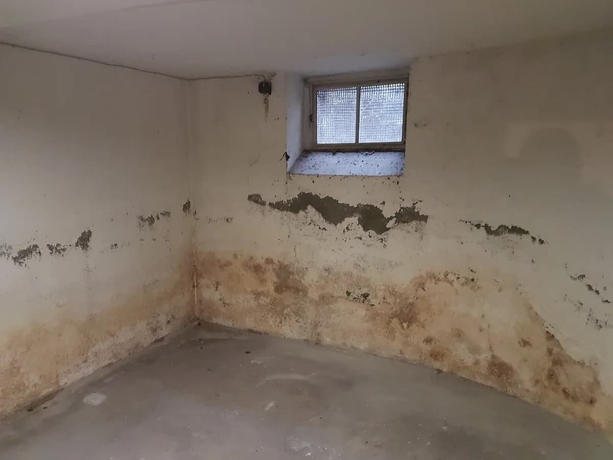 Kellerwand mit dunkler Durchfeuchtungszone, abplatzendem Putz und Salzausblühungen bis etwa einen Meter über dem Boden