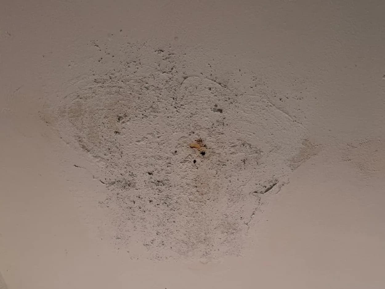 Durchfeuchtete Geschossdecke im Treppenhaus mit abgeplatztem Putz