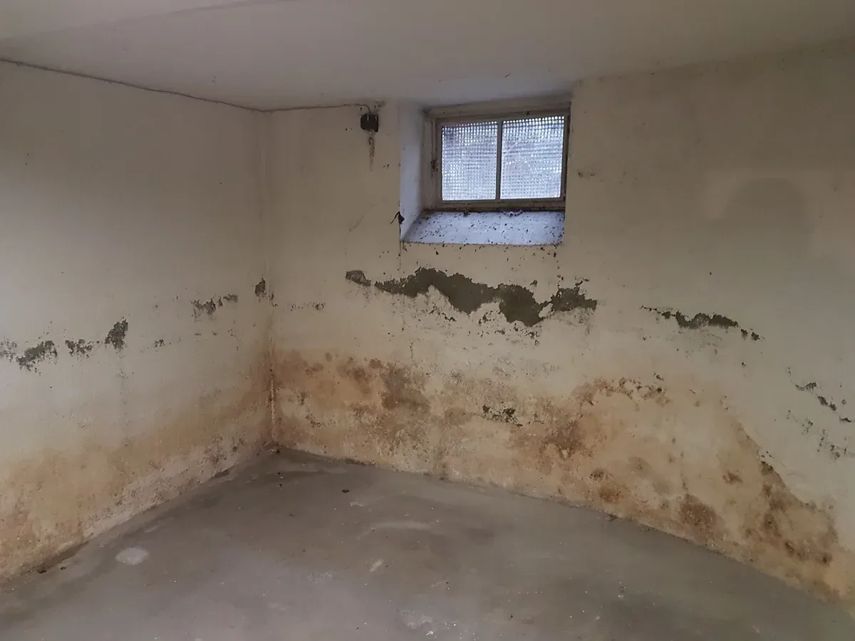 Durchfeuchtete Kellerwand mit Salzausblühungen