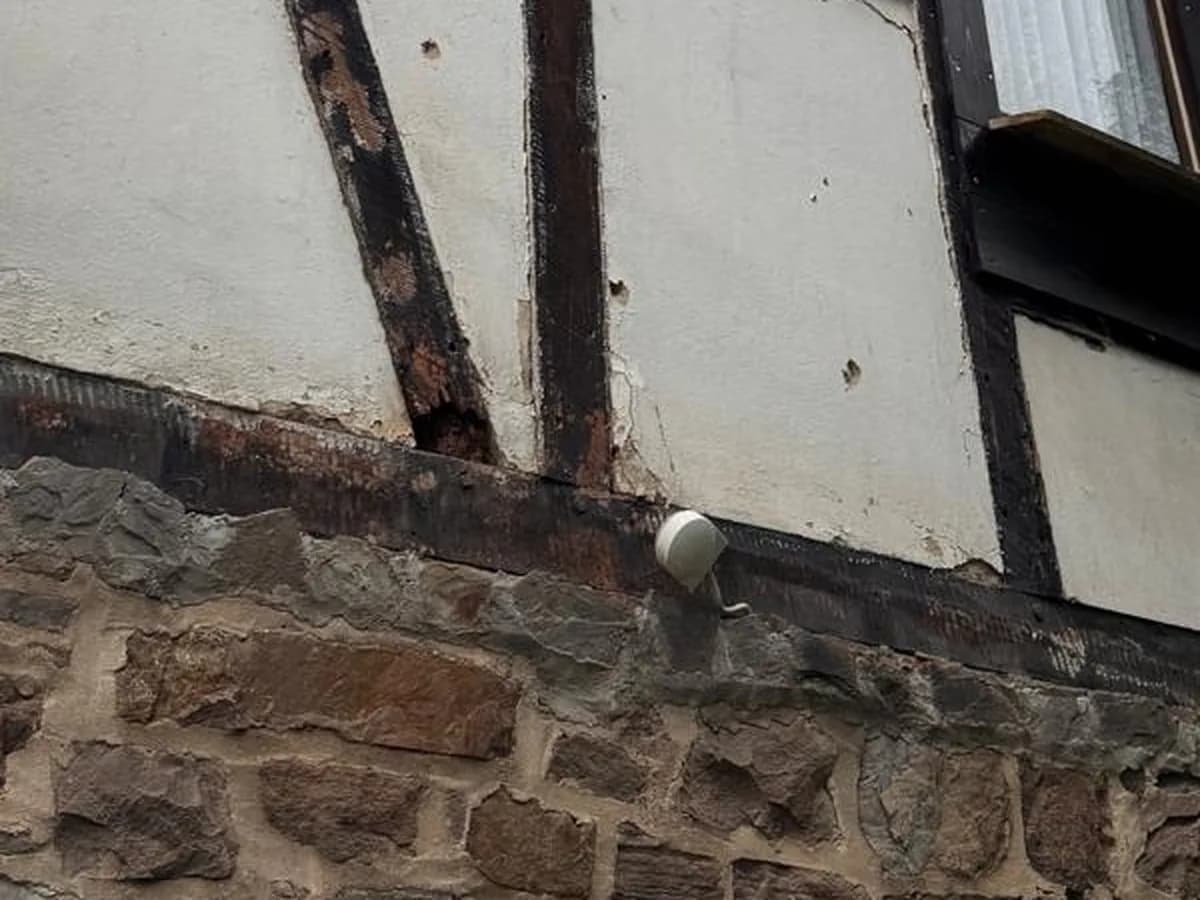 Fachwerkfassade von unten: Ein Strebenbalken ist am Fuß durch Braunfäule zersetzt, das Holz fehlt stellenweise ganz