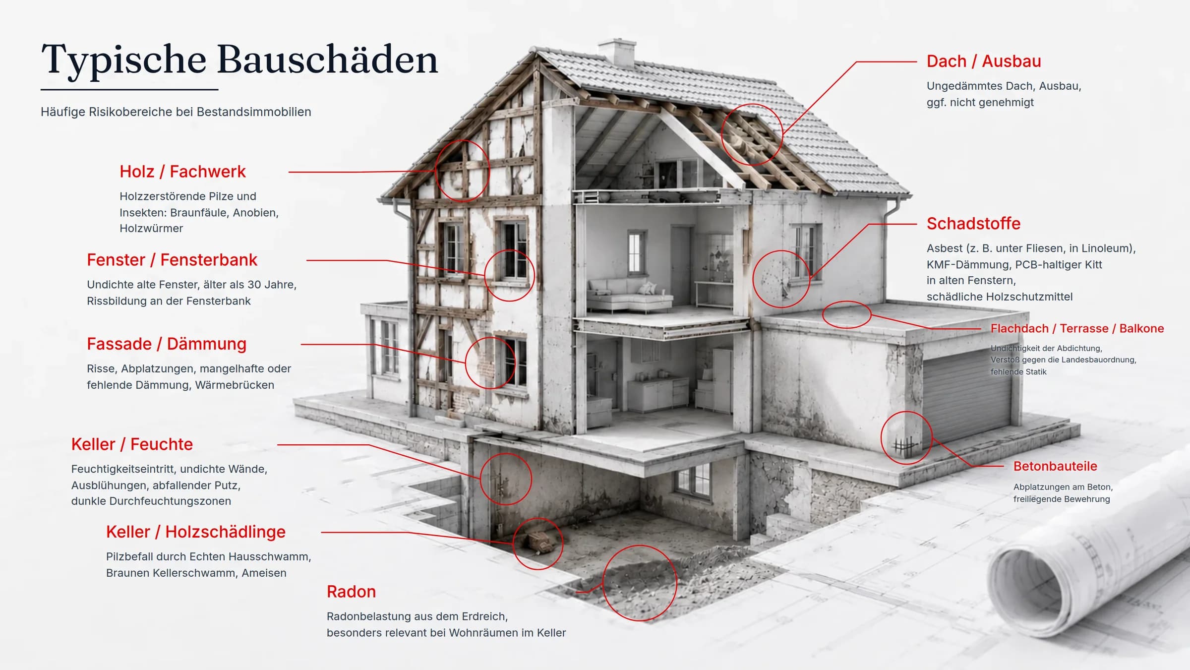 Schnitt durch ein Wohnhaus: Vom Keller bis zum Dachstuhl sind die Stellen markiert, an denen Bauschäden typischerweise auftreten – Feuchtigkeit im Keller, Risse im Mauerwerk, Holzschädlinge im Fachwerk, Schadstoffe, undichte Dachanschlüsse.